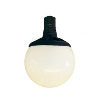 image Bulb